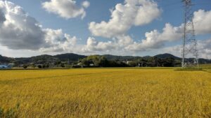 田園風景